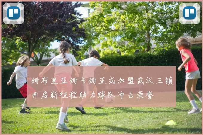 姆布里亚姆卡姆正式加盟武汉三镇开启新征程助力球队冲击荣誉